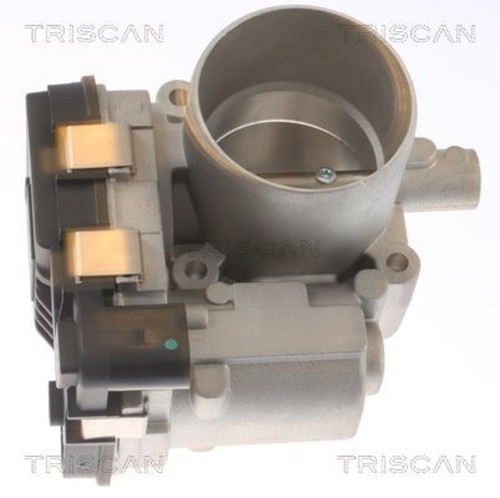 Throttle body triscan - body, fits