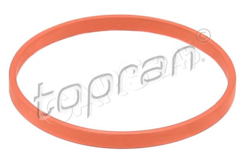 Intake manifold housing gasket - intake,
